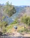2010 Sea Otter