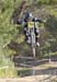2010 Sea Otter