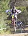 2010 Sea Otter