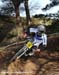 2010 Sea Otter
