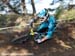 2010 Sea Otter