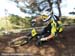 2010 Sea Otter