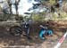 2010 Sea Otter