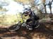 2010 Sea Otter