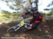 2010 Sea Otter
