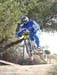 2010 Sea Otter