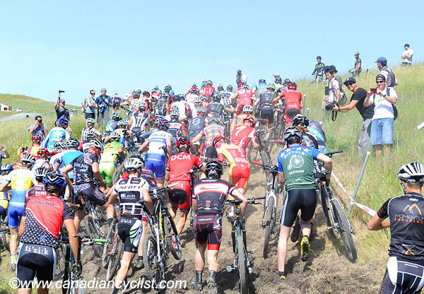 2010 Sea Otter