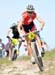 2010 Sea Otter