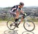 2010 Sea Otter
