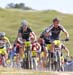 2010 Sea Otter