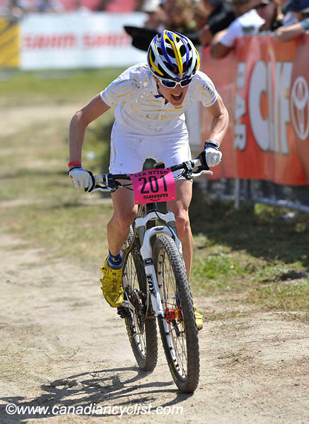 2010 Sea Otter