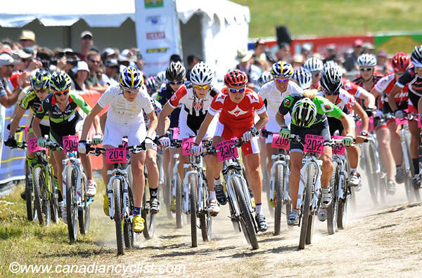 2010 Sea Otter