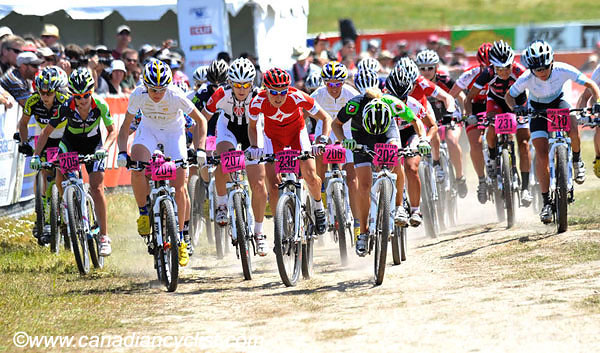 2010 Sea Otter