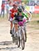 2010 Sea Otter