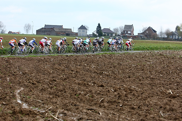 wflanders