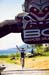 BCBR