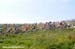 Olympic Test Event - Hadleigh Farm Mountain Bike International