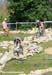 Olympic Test Event - Hadleigh Farm Mountain Bike International