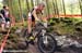MTB World Championships 2011