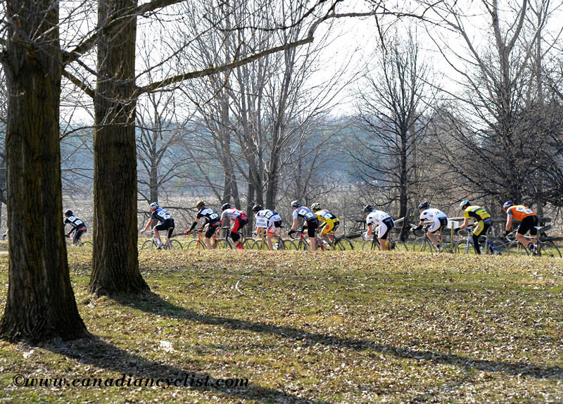 Tour of Bronte