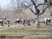 Tour of Bronte