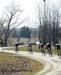 Tour of Bronte
