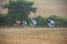 2011 Tour de France