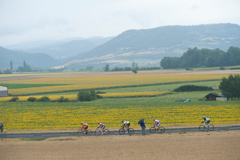 2011 Tour de France
