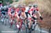Tour of California