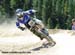 Downhill National Championships