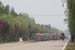 chongming