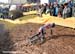 2011 CycloCross World Championships