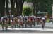 2011 Tour of Elk Grove