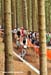 Nove Mesto Na Morave World Cup