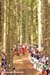 Nove Mesto Na Morave World Cup