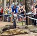 Nove Mesto Na Morave World Cup