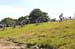 Olympic MTB Venue
