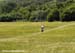 Olympic MTB Venue