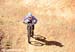 Pietermaritzburg World Cup