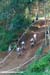 Pietermaritzburg World Cup