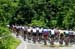 2011 Road Nationals