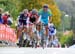 Road World Championships