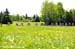 Tour de Beauce