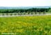 Tour de Beauce
