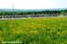Tour de Beauce