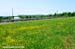 Tour de Beauce