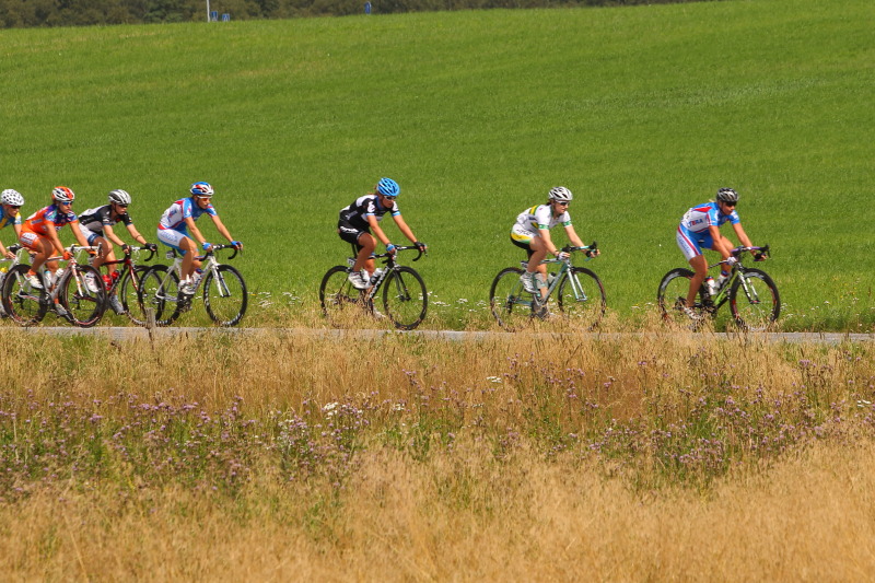 wcupsweden