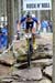Nove Mesto na Morave World Cup