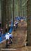 Nove Mesto na Morave World Cup
