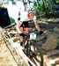 Pietermaritzburg World Cup